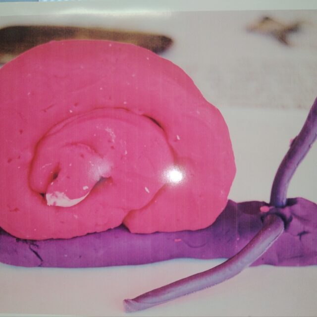 National Heritage Week 2025  Slimy Slugs & Snails with Tails!