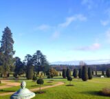 View of garden