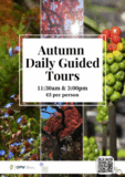 A poster advertising daily autumn tours.