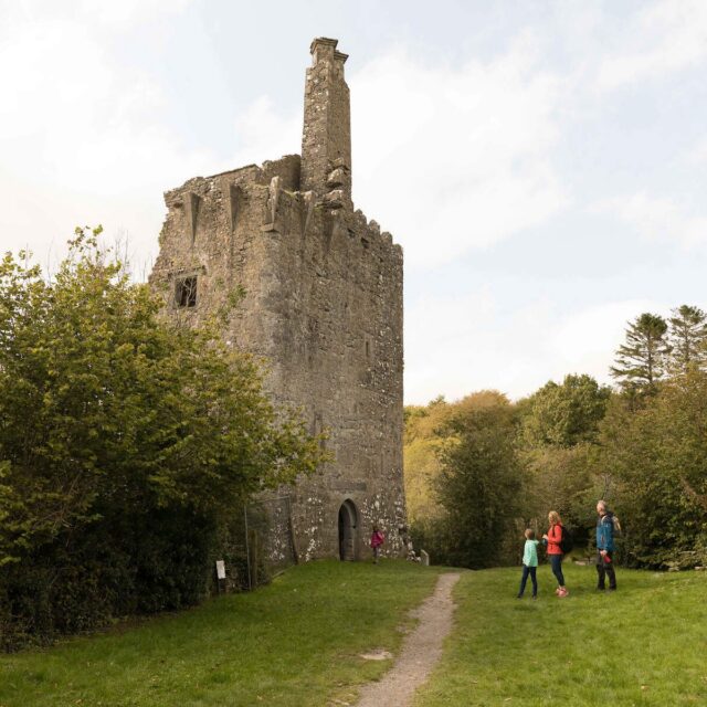 Dromore Castle