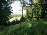 a view through the trees overlooking the adjacent fields near the ringfort