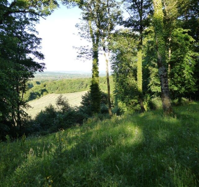 Rathealy Ringfort
