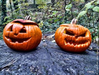 Two Pumpkins at Kilkenny Castle