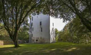 exterior of the castle shrouded by trees