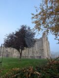 A tree in front of Sligo Abbey with a clear clue sky.
