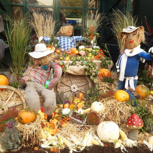 Halloween At Farmleigh