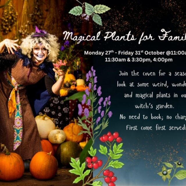 Magical Plants for Families
