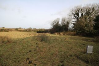 open field landscape in the sunset
