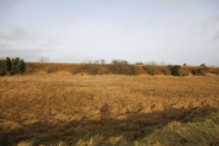 the field landscape at sunset