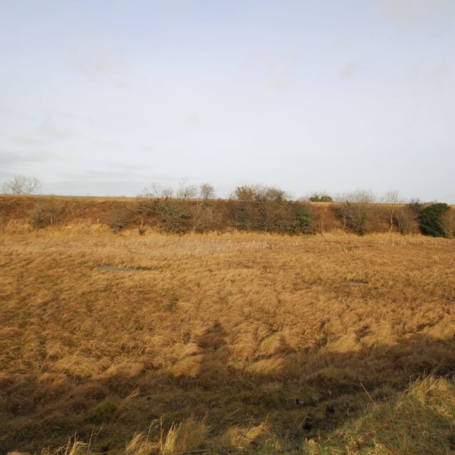 Kilcornan Settlement