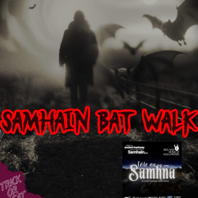 Samhain Bat Walk