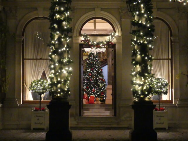 Christmas Tree at Farmleigh House