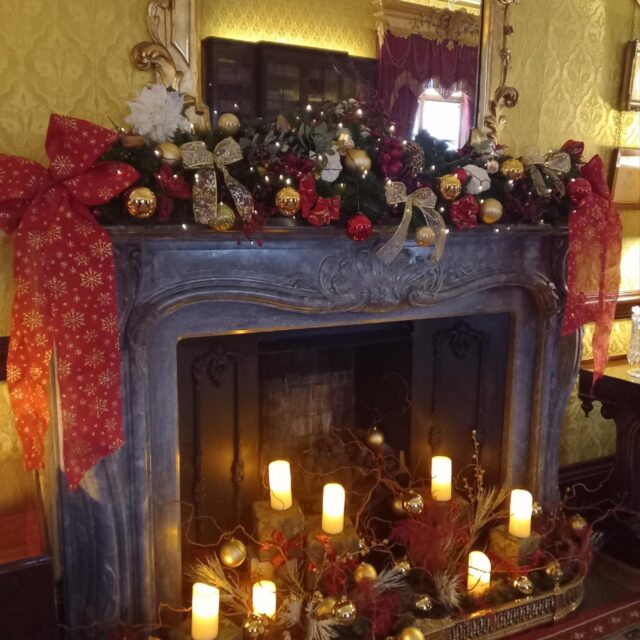 Free Admission to Kilkenny Castle 🎄