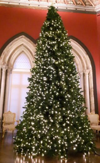 A decorated Christmas tree