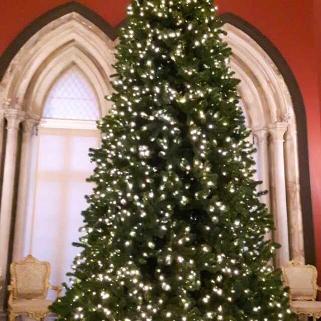 Free Admission to Kilkenny Castle 🎄
