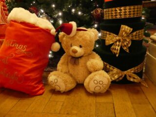 Christmas Teddy Bear under a tree