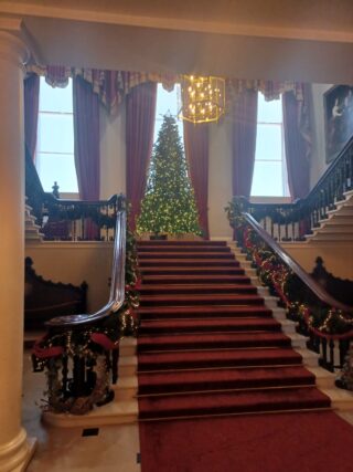 a lit-up christmas tree at the top of a staircase