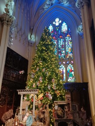 the crib and christmas tree in the chapel