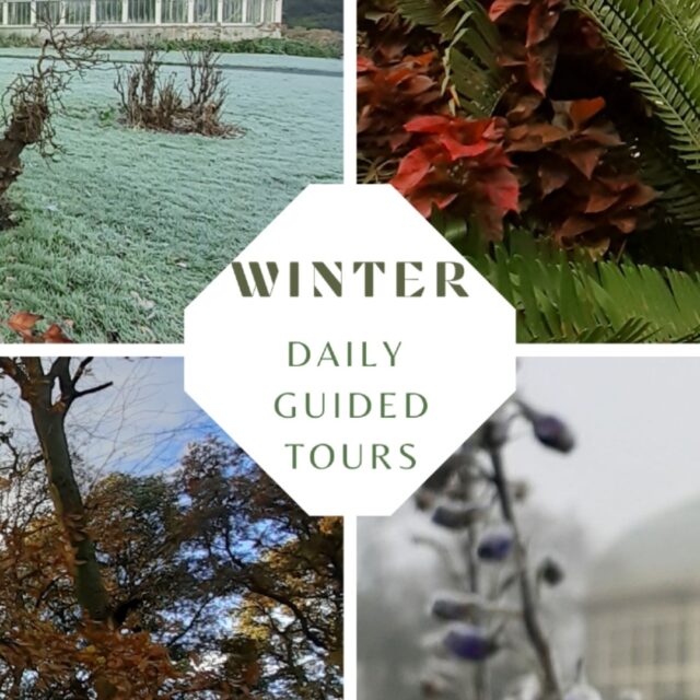Winter Daily Guided Tours