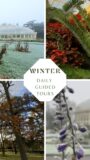 Poster with a collage of winter images
