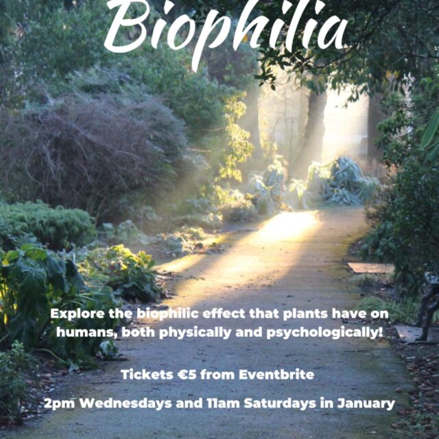 Themed Tour: Biophilia