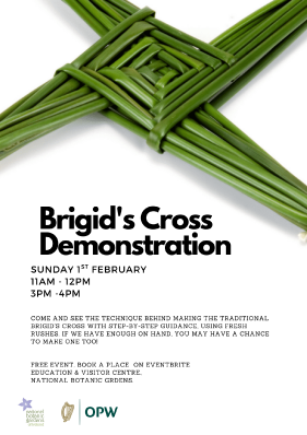 Brigid’s Cross Making Demonstration