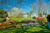 colourful image of the gardens at Glasnevin with a glasshouse in the background