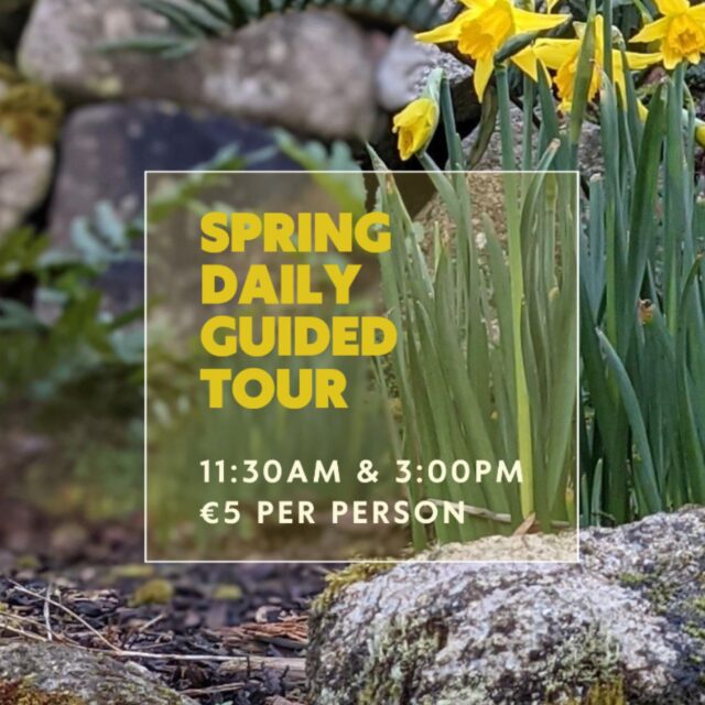 Spring Daily Guided Tours
