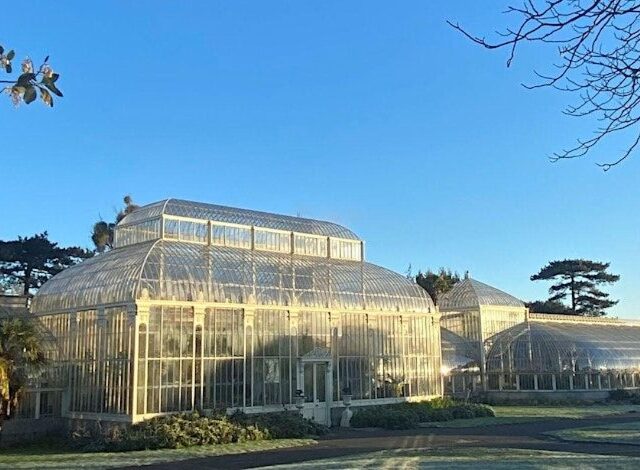 International Women’s Day Tour