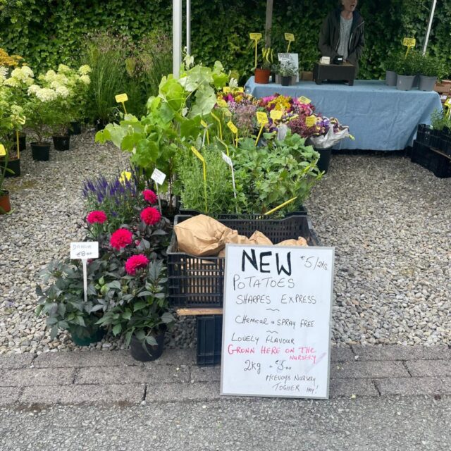 Margadh Feirmeoirí - Dé Domhnaigh 6 Meán Fómhair