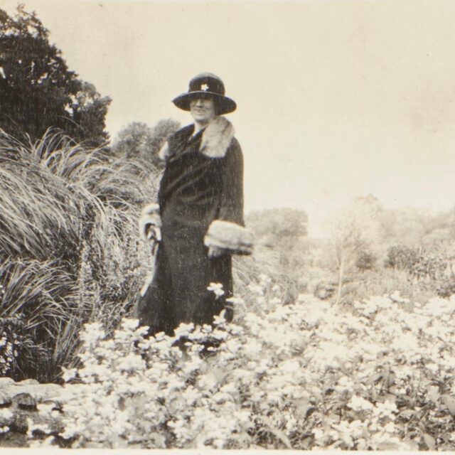 *Mitchelstown Library*: A Talk on Annes Grove Gardens