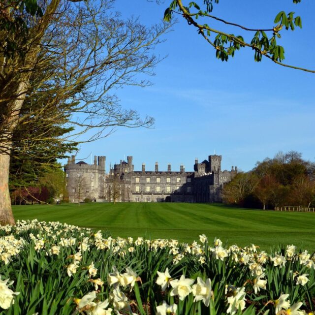 Sraith Comhráite Gairdíní: Na Gairdíní ag Glin agus Hillsborough