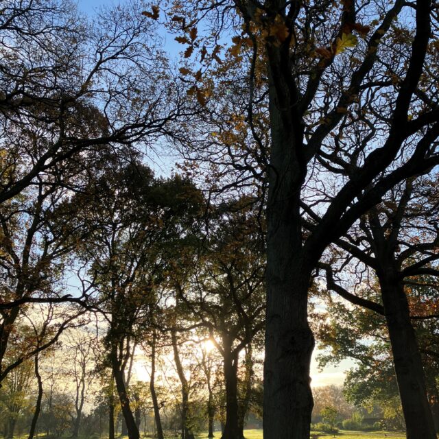 Themed Tour: Biophilia