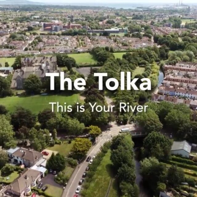 This is Your River