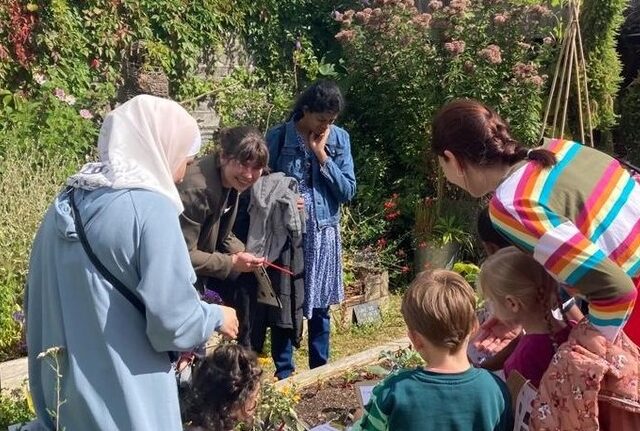 children plant seeds at the National Botanic Gardens Glasnevin
