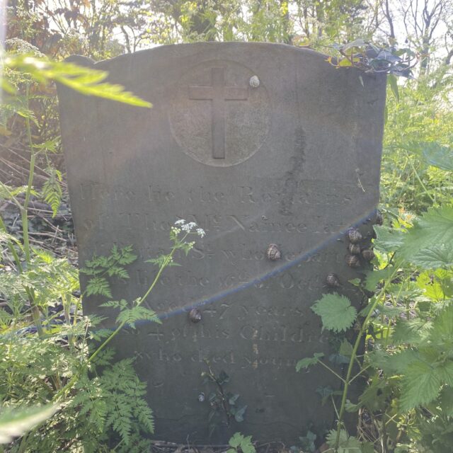 Bully’s Acre Cemetery Tour May 2026