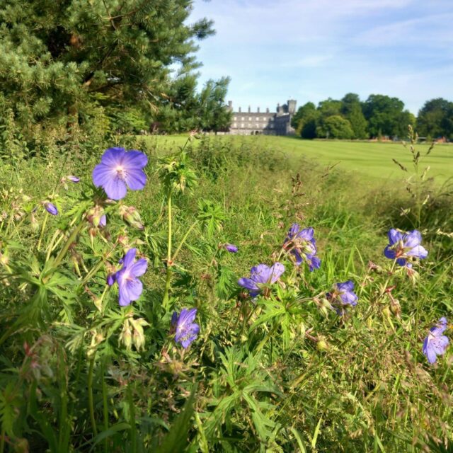 Biodiversity Week: Heritage and Healing