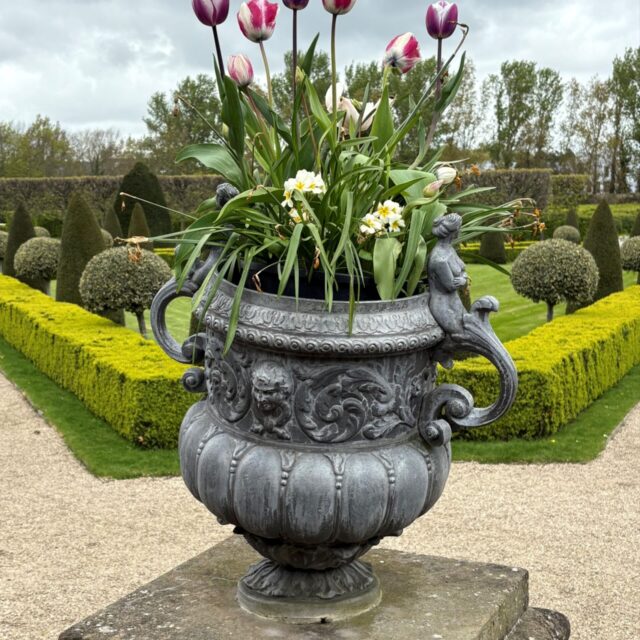 Biodiversity Garden Tour