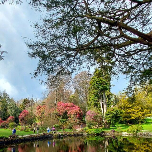 Irish Sign Language Tour – National Botanic Gardens Kilmacurragh