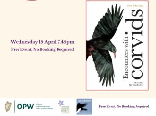 Poster for Birdwatching Event with images of birds and text