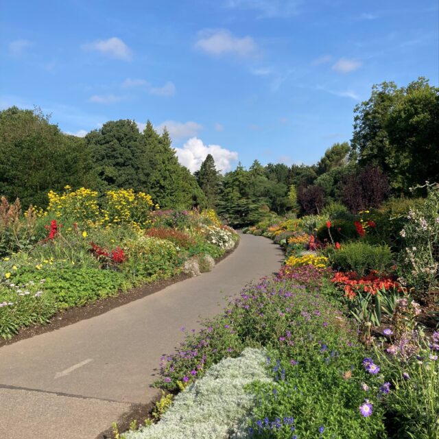 Themed Tour: Pollinator’s Paradise