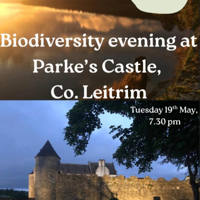 Biodiversity Evening at Parke’s Castle