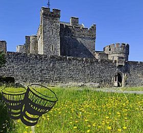 Bealtaine Festival