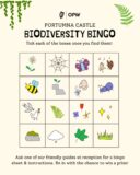 Poster for Biodiversity Bingo