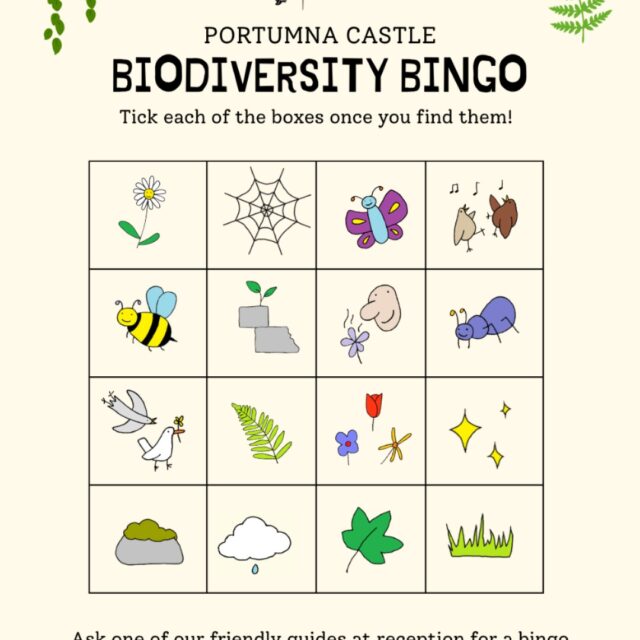 Portumna Castle Biodiversity Bingo