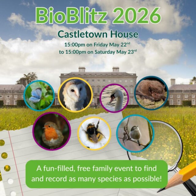 BioBlitz at Castletown House