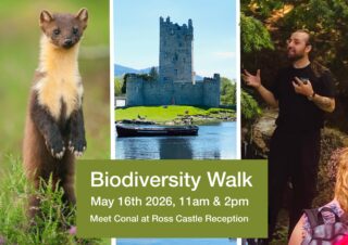 Biodiversity Walk at Ross Castle