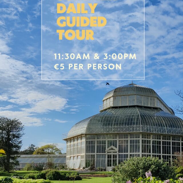 Summer Daily Guided  Tour