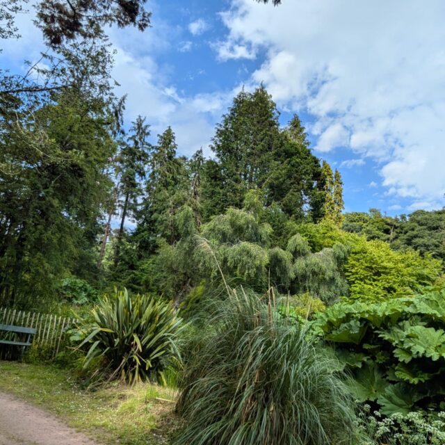 Free Friday – Annes Grove Gardens