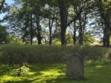 A grave Headstone with trees in the bachground.